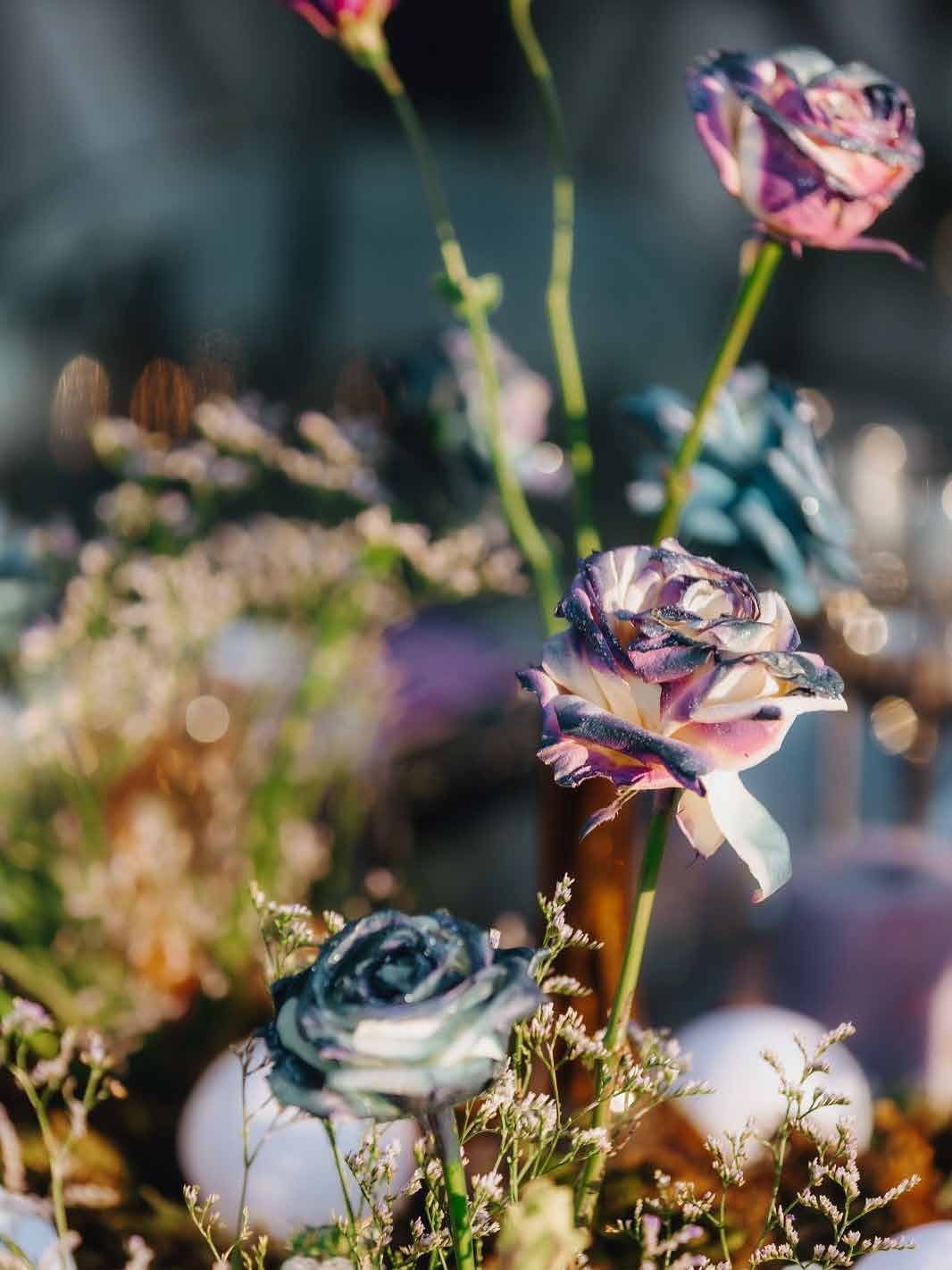 Close macro detail of pastel wildflowers with bokeh lights
