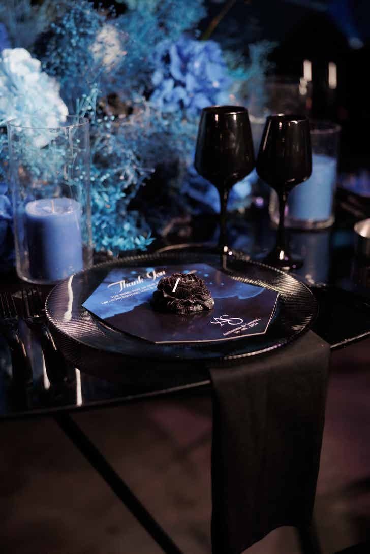 Close detail of the sapphire reception styling